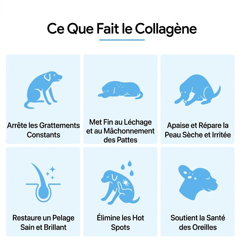 Collagène Liquide Premium Selenia